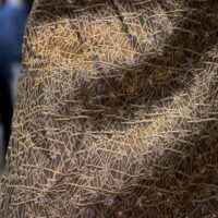Bronze and Silver Brocade Fabric