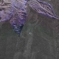 Black and Navy Blue Floral Brocade Fabric