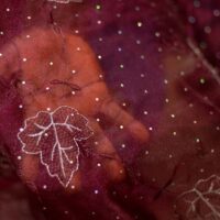 Dark Wine Embroidered Organza with Dotted Ladder Glitters