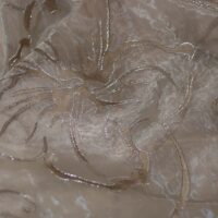 Champaign Gold Embroidered Organza Fabric