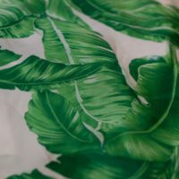 Plantain Leaf Design Printed Silk Fabric