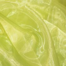 Lime Liquid Organza Fabric