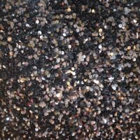 Jaybecks Black Sequin Fabric