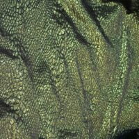 Neon Green and Black Iridescent Brocade Fabric
