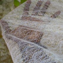 Transparent White Mesh Fabric