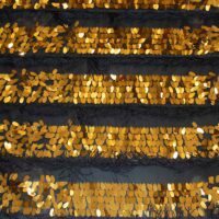 Gold and Black Sequin Tassel Fabric
