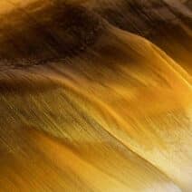 mustard-yellow-pleated-organza-fabric