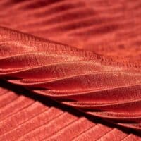 Burnt Orange Silk Accordion Fabric